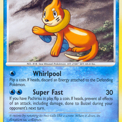 Buizel (6/17) [POP Series 9]