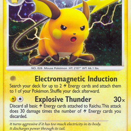 Raichu (DP21) [Diamond & Pearl: Black Star Promos]