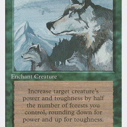 Aspect of Wolf [Fourth Edition]