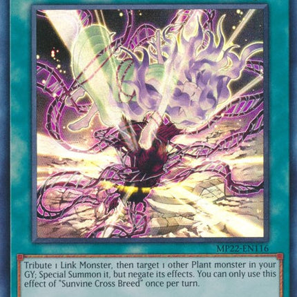 Sunvine Cross Breed [MP22-EN116] Super Rare