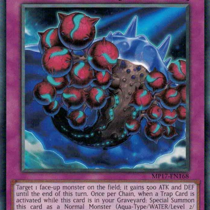 Paleozoic Eldonia [MP17-EN168] Common