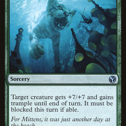 Enlarge [Iconic Masters]