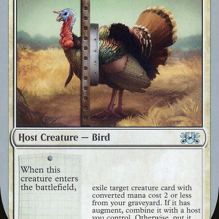 Strutting Turkey [Unsanctioned]