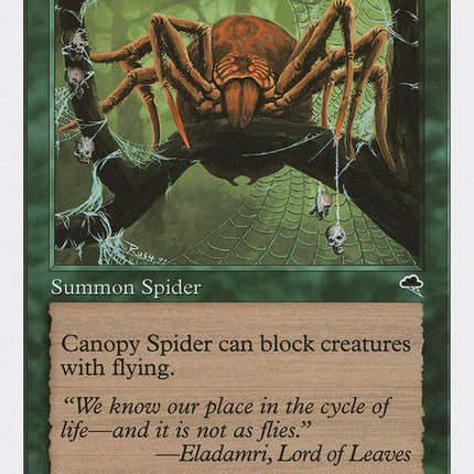 Canopy Spider [Anthologies]