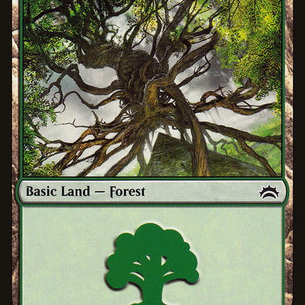 Forest (155) [Planechase Anthology]