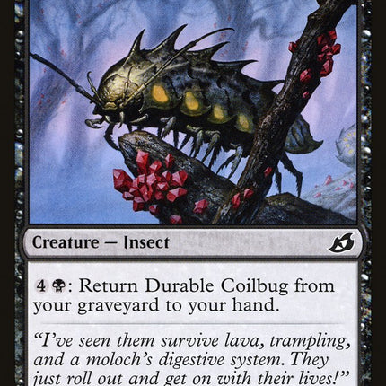Durable Coilbug [Ikoria: Lair of Behemoths]