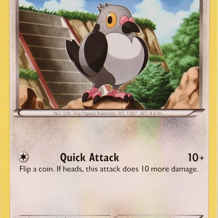 Pidove (21/30) [Black & White: Trainer Kit - Zoroark]