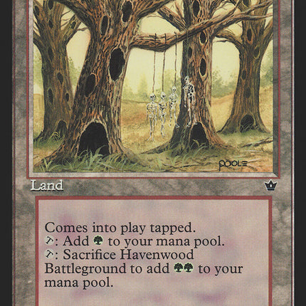 Havenwood Battleground [Fallen Empires]