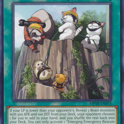 Emerging Emergency Rescute Rescue [MP18-EN075] Common