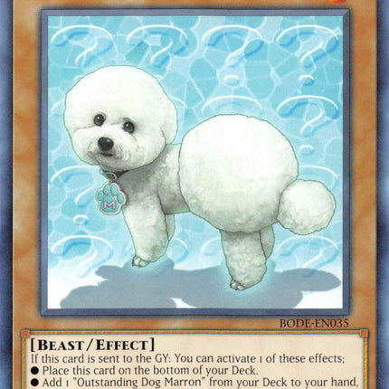 Outstanding Dog Mary [BODE-EN035] Common
