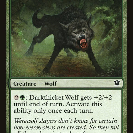 Darkthicket Wolf [Innistrad]