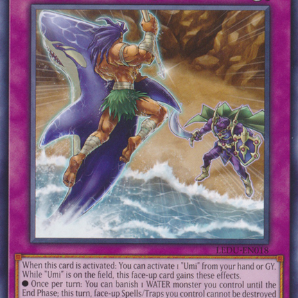 Sea Stealth Attack [LEDU-EN018] Rare