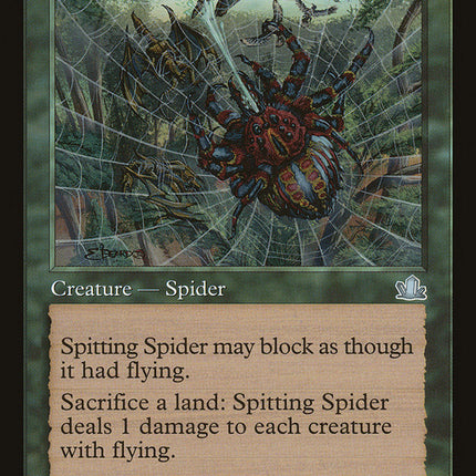Spitting Spider [Prophecy]