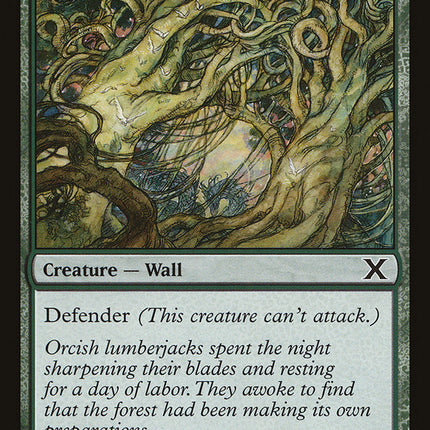 Wall of Wood [Tenth Edition]