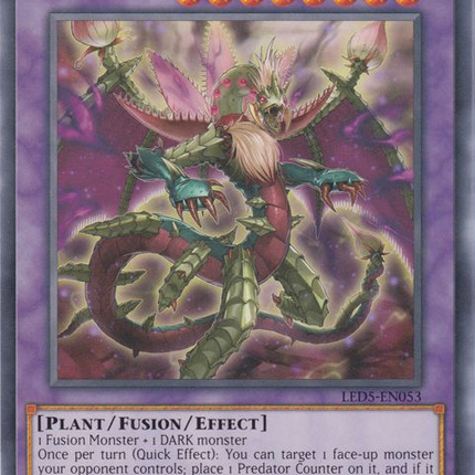 Predaplant Dragostapelia [LED5-EN053] Common