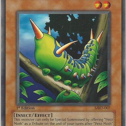 Larvae Moth [MRD-007] Common