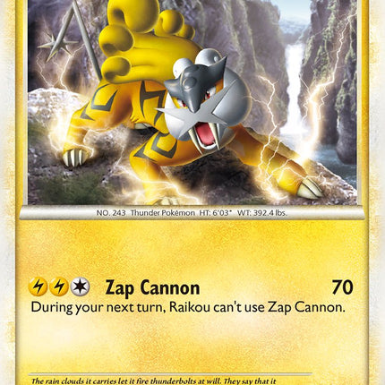 Raikou (HGSS19) [HeartGold & SoulSilver: Black Star Promos]