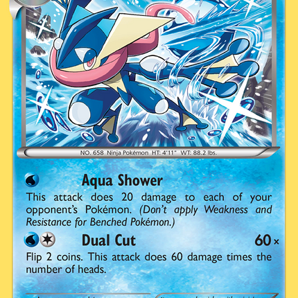 Greninja (XY162) [XY: Black Star Promos]