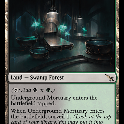Underground Mortuary [Murders at Karlov Manor]
