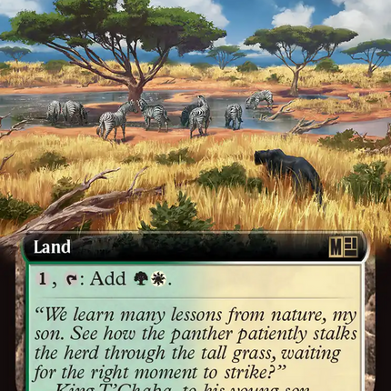 Sungrass Prairie (Extended Art) [Marvel Super Heroes Commander]