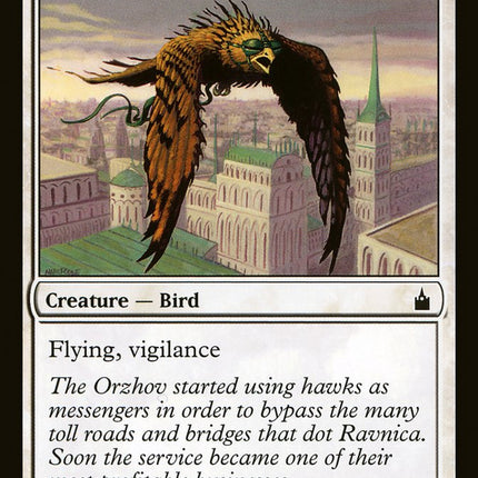 Courier Hawk [Ravnica: City of Guilds]