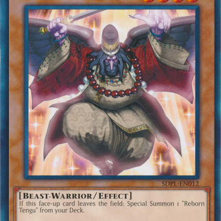 Reborn Tengu [SDPL-EN012] Common