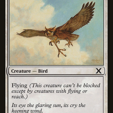 Suntail Hawk [Tenth Edition]