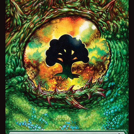 Forest (0291) [Tarkir: Dragonstorm]