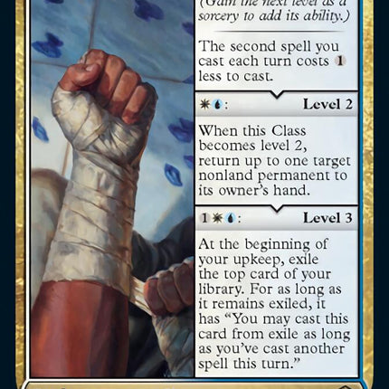 Monk Class [Dungeons & Dragons: Adventures in the Forgotten Realms]