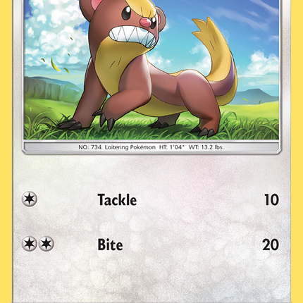 Yungoos (109/149) [Sun & Moon: Base Set]