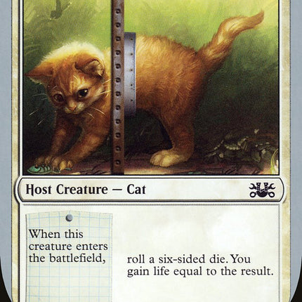 Adorable Kitten [Unsanctioned]