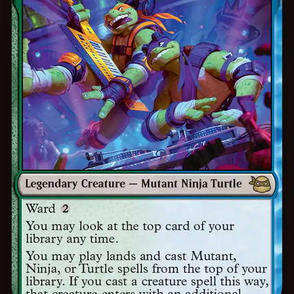 Mikey & Don, Party Planners [Teenage Mutant Ninja Turtles]
