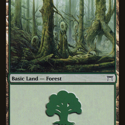 Forest (303) [Champions of Kamigawa]