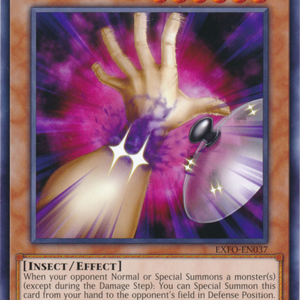 Contact "C" [EXFO-EN037] Common