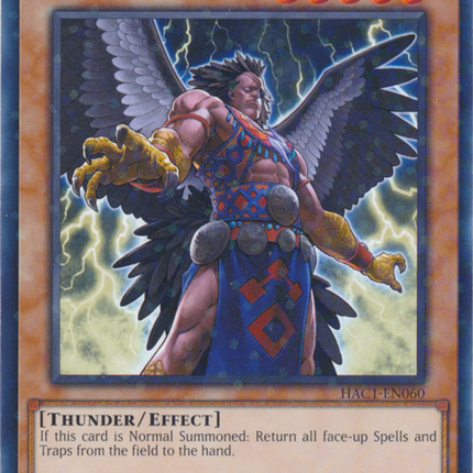 Mist Valley Executor (Duel Terminal) [HAC1-EN060] Common