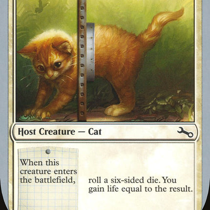 Adorable Kitten [Unstable]