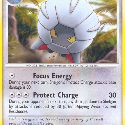 Shelgon (64/132) [Diamond & Pearl: Secret Wonders]