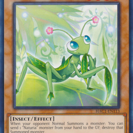 Naturia Mantis [HAC1-EN113] Common