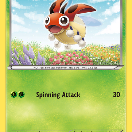 Ledyba (6/146) [XY: Base Set]