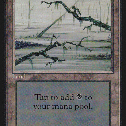 Swamp (Branches on Left and Right of Frame) [International Collectors' Edition]