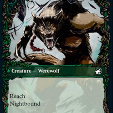 Bird Admirer // Wing Shredder (Showcase Equinox) [Innistrad: Midnight Hunt]