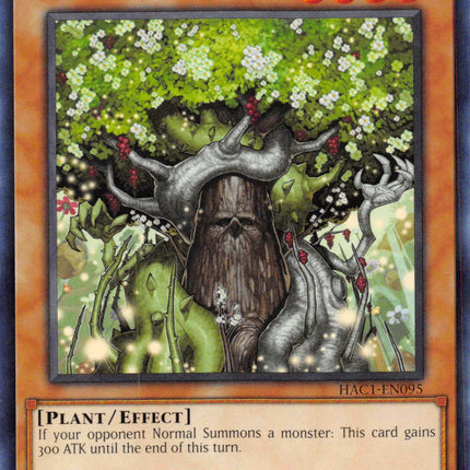 Naturia Guardian [HAC1-EN095] Common