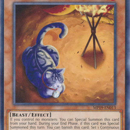 Watch Cat [MP19-EN013] Common