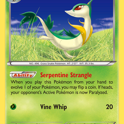 Servine (6/124) [XY: Fates Collide]