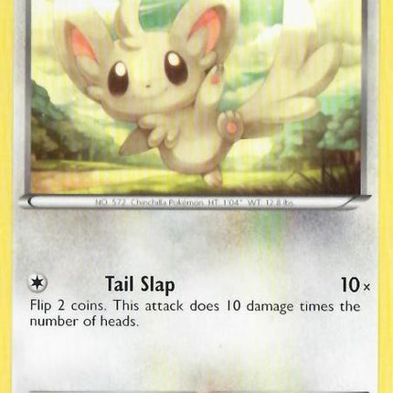 Minccino (19/30) [Black & White: Trainer Kit - Zoroark]