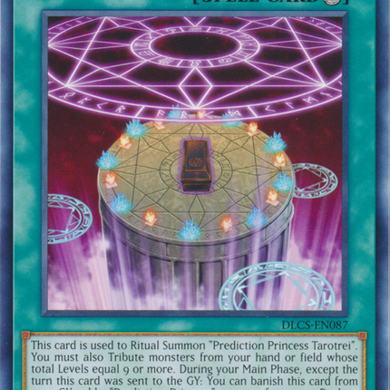 Prediction Ritual [DLCS-EN087] Common