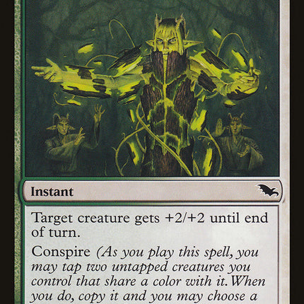 Barkshell Blessing [Shadowmoor]