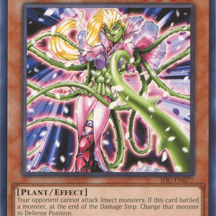 Prickle Fairy (25th Anniversary) [IOC-EN077] Common