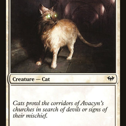 Sanctuary Cat [Dark Ascension]