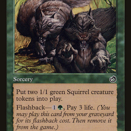 Acorn Harvest [Torment]